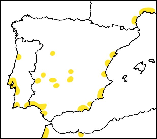 Mapa distribución en la-Península Ibérica. Charrancito común